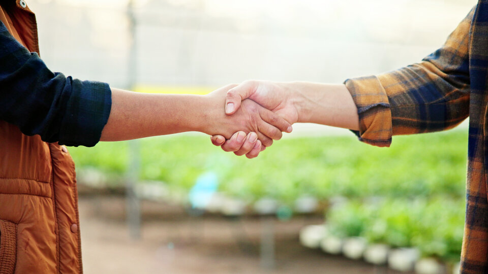 Two people shaking hands in a garden with greenery in the background.