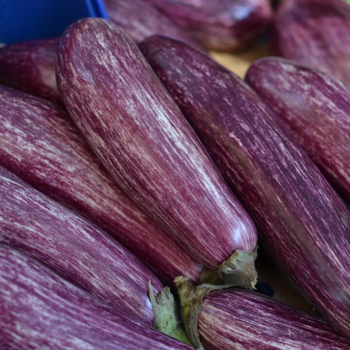 Eggplants